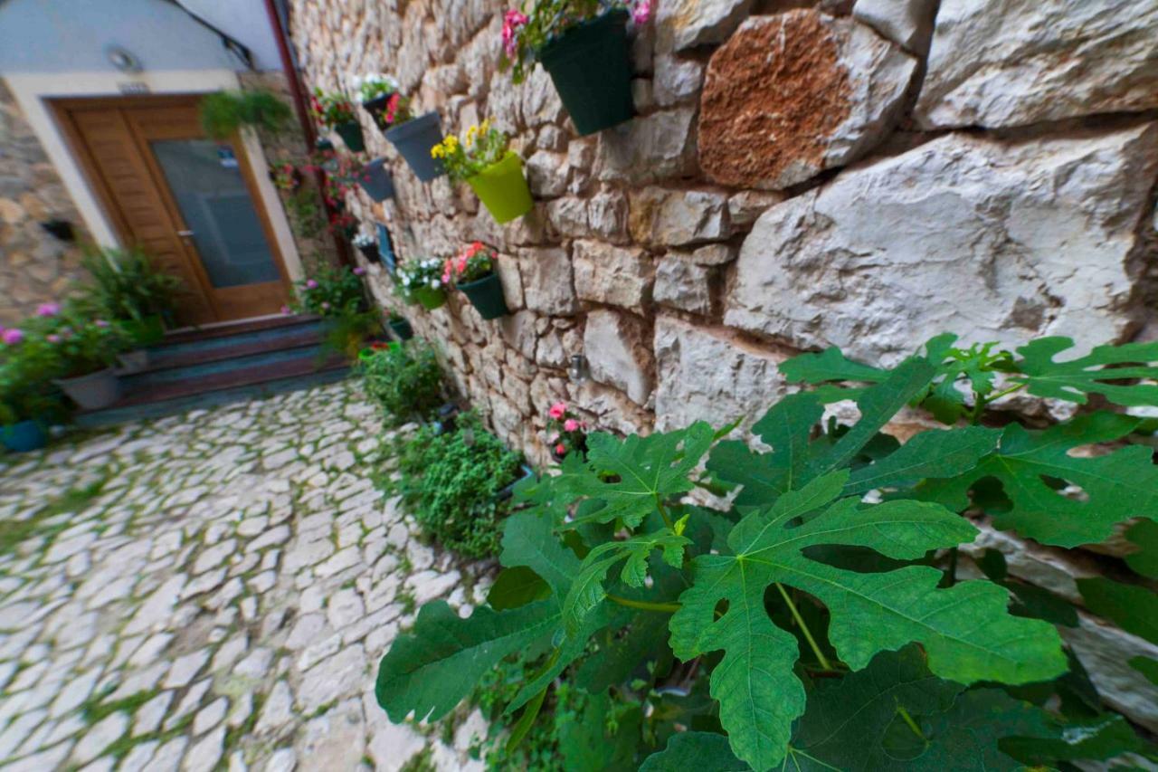 Hostel Mare Šibenik Dış mekan fotoğraf